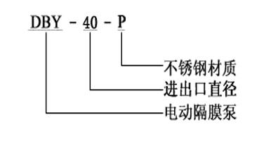 DBY电动隔膜泵型号意义.JPG